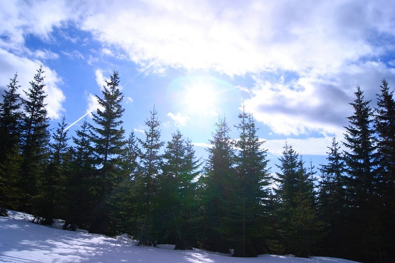 Foto: Andreas Koller / Schneeschuhtour / Panoramaschneeschuhtour auf die Amundsenhöhe (1666m) / 13.03.2012 19:43:35