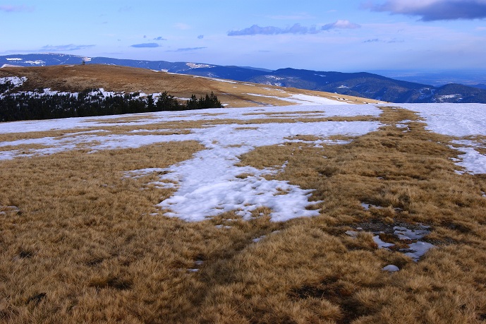 Foto: Andreas Koller / Schneeschuhtour / Panoramaschneeschuhtour auf die Amundsenhöhe (1666m) / 13.03.2012 19:39:27