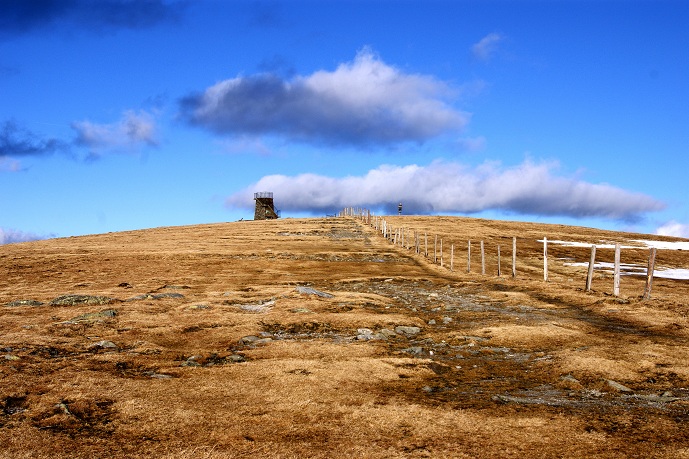 Foto: Andreas Koller / Schneeschuhtour / Panoramaschneeschuhtour auf die Amundsenhöhe (1666m) / Wiederaufstieg Pretul / 13.03.2012 19:38:40