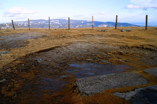 Foto: Andreas Koller / Schneeschuhtour / Panoramaschneeschuhtour auf die Amundsenhöhe (1666m) / 13.03.2012 19:37:36