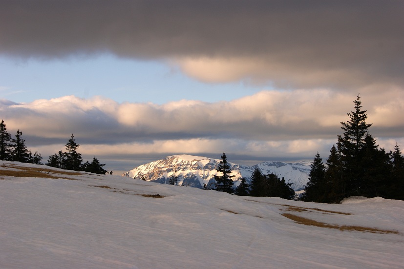 Foto: Andreas Koller / Schneeschuhtour / Panoramaschneeschuhtour auf die Amundsenhöhe (1666m) / 13.03.2012 19:36:21
