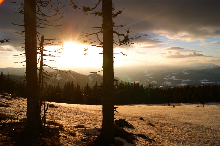 Foto: Andreas Koller / Schneeschuhtour / Panoramaschneeschuhtour auf die Amundsenhöhe (1666m) / 13.03.2012 19:35:15