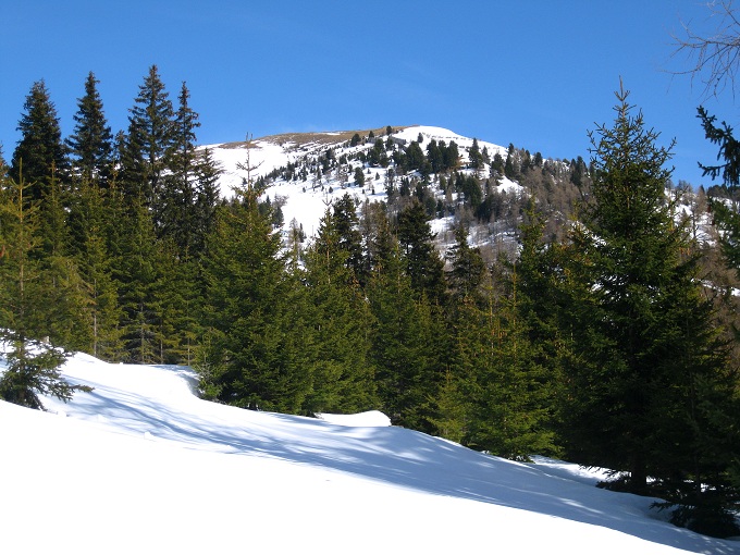 Foto: Andreas Koller / Skitour / Südroute auf die Gaipahöhe (2192m) / 15.03.2012 21:18:33