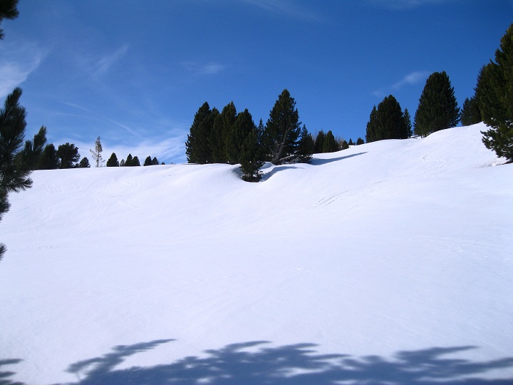 Foto: Andreas Koller / Skitour / Südroute auf die Gaipahöhe (2192m) / 15.03.2012 21:18:04