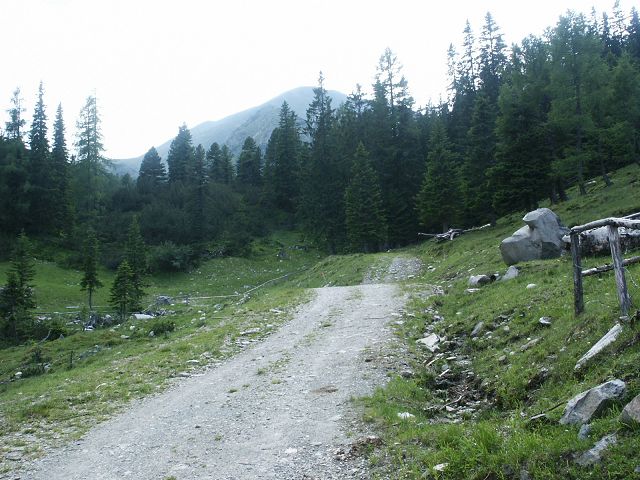 Foto: Datzi / Wandertour / Rundtour über den Kl. Reichard - Hochreichard - Brandstätterkogel (Biwak) - Maierangerkogel / Die Forsstraßen bis zum Hochreichard Schutzhaus / 06.05.2012 18:23:03