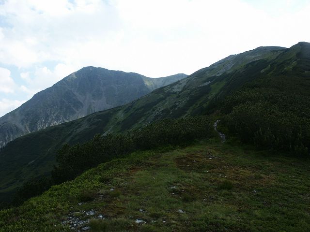 Foto: Datzi / Wandertour / Rundtour über den Kl. Reichard - Hochreichard - Brandstätterkogel (Biwak) - Maierangerkogel / Blick zum Anstieg vom Stubentörl zum Hochreichard / 06.05.2012 18:24:08