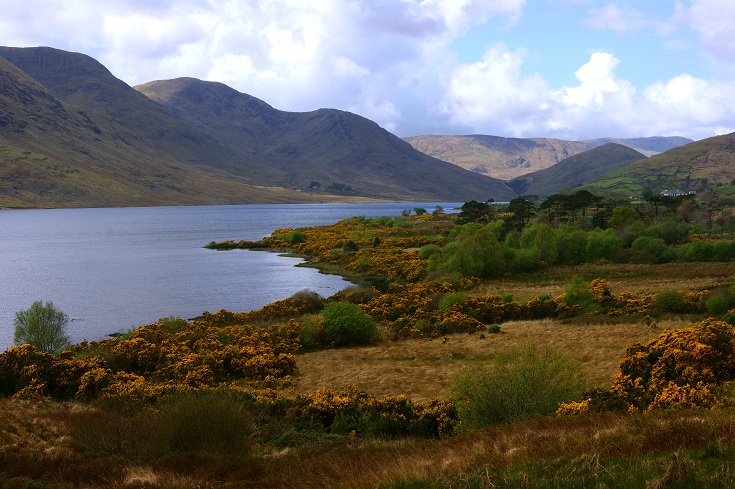 Foto: Andreas Koller / Wandertour / Connemara: Kylemore Abbey Walks (90m) / 10.05.2012 21:45:12