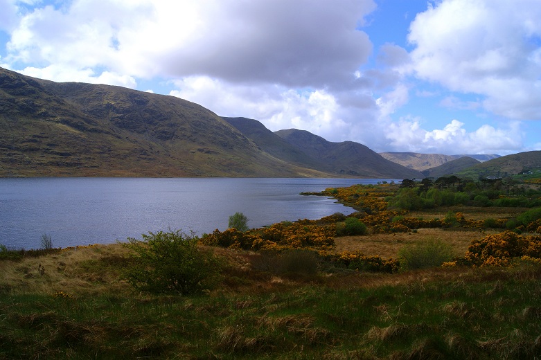 Foto: Andreas Koller / Wandertour / Connemara: Kylemore Abbey Walks (90m) / 10.05.2012 21:44:56