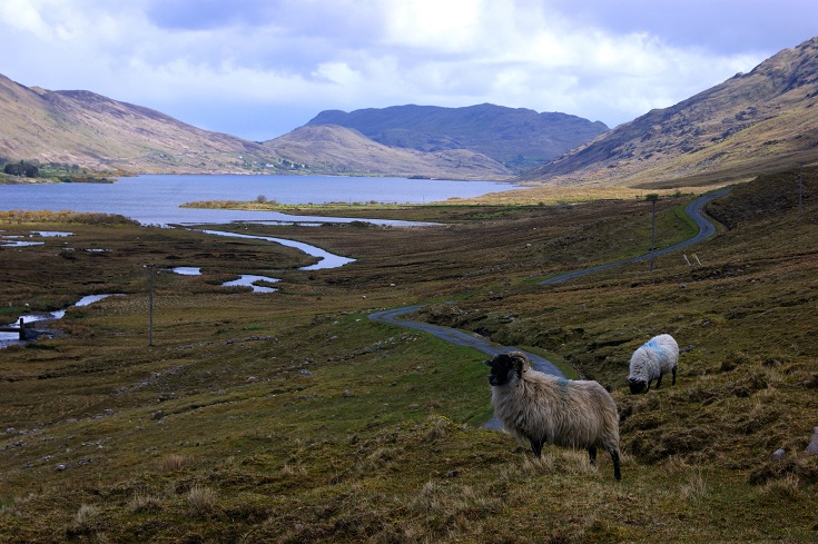 Foto: Andreas Koller / Wandertour / Connemara: Kylemore Abbey Walks (90m) / 10.05.2012 21:44:50