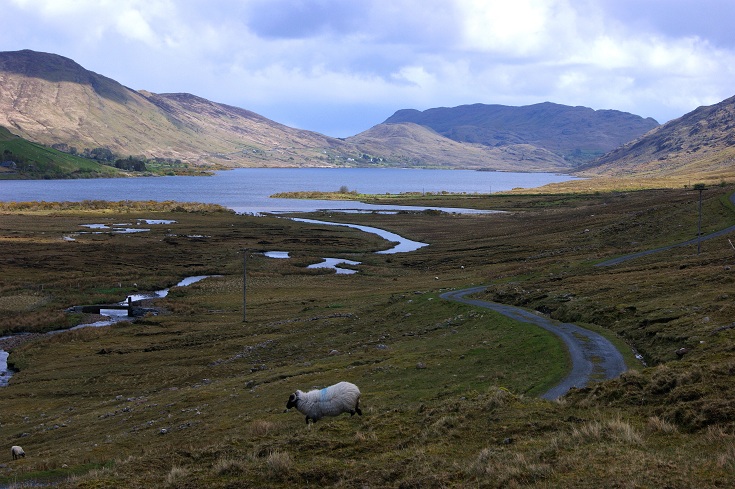 Foto: Andreas Koller / Wandertour / Connemara: Kylemore Abbey Walks (90m) / 10.05.2012 21:44:35