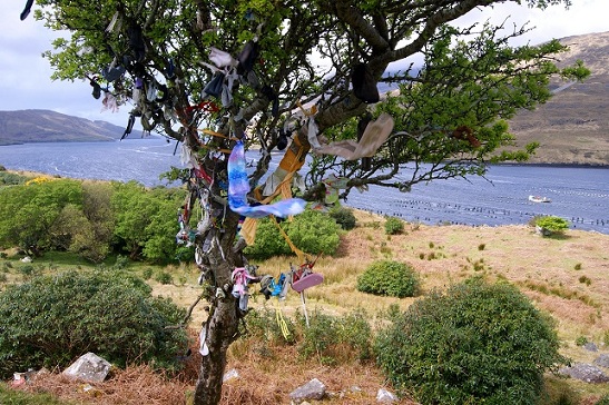 Foto: Andreas Koller / Wandertour / Connemara: Kylemore Abbey Walks (90m) / 10.05.2012 21:44:21