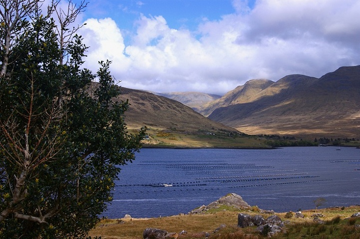 Foto: Andreas Koller / Wandertour / Connemara: Kylemore Abbey Walks (90m) / 10.05.2012 21:44:08