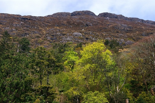 Foto: Andreas Koller / Wandertour / Connemara: Kylemore Abbey Walks (90m) / 10.05.2012 21:43:18