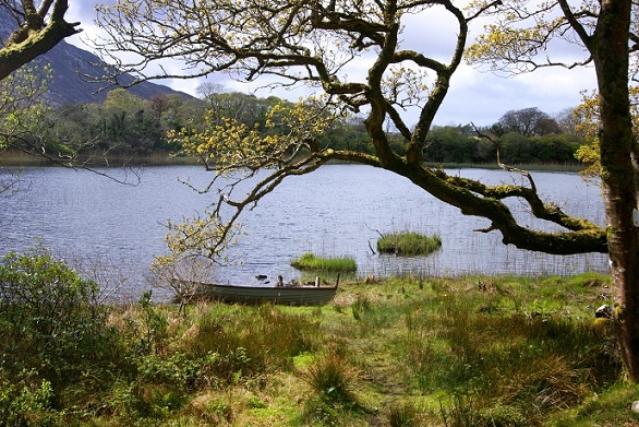 Foto: Andreas Koller / Wandertour / Connemara: Kylemore Abbey Walks (90m) / 10.05.2012 21:43:02