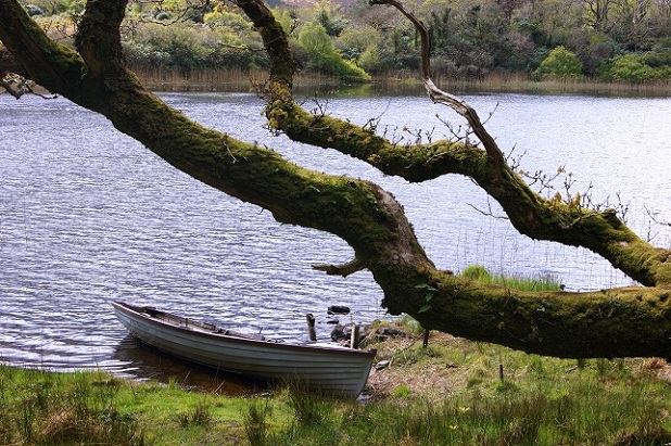 Foto: Andreas Koller / Wandertour / Connemara: Kylemore Abbey Walks (90m) / 10.05.2012 21:42:40