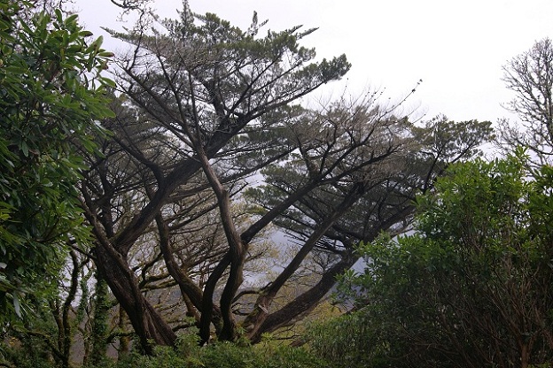 Foto: Andreas Koller / Wandertour / Connemara: Kylemore Abbey Walks (90m) / 10.05.2012 21:40:49