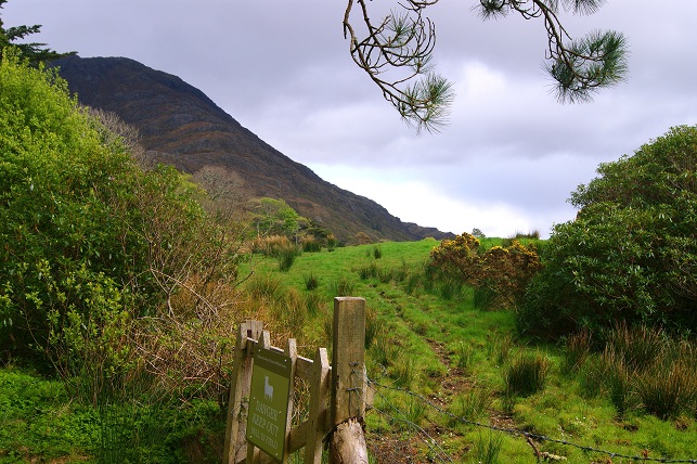 Foto: Andreas Koller / Wandertour / Connemara: Kylemore Abbey Walks (90m) / 10.05.2012 21:40:38