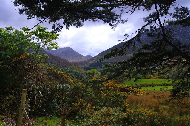 Foto: Andreas Koller / Wandertour / Connemara: Kylemore Abbey Walks (90m) / 10.05.2012 21:39:09