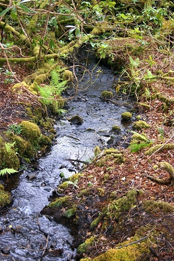 Foto: Andreas Koller / Wandertour / Connemara: Kylemore Abbey Walks (90m) / 10.05.2012 21:39:01