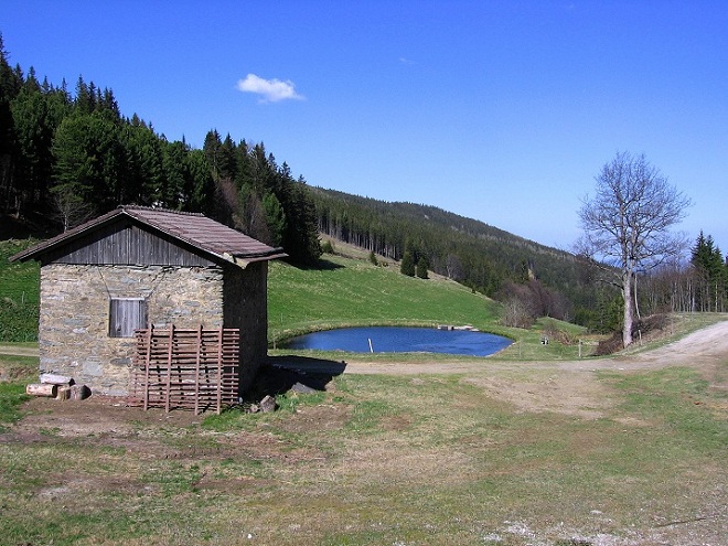 Foto: Andreas Koller / Wandertour / Über den Wechsel (1743m) / 31.05.2012 22:38:17