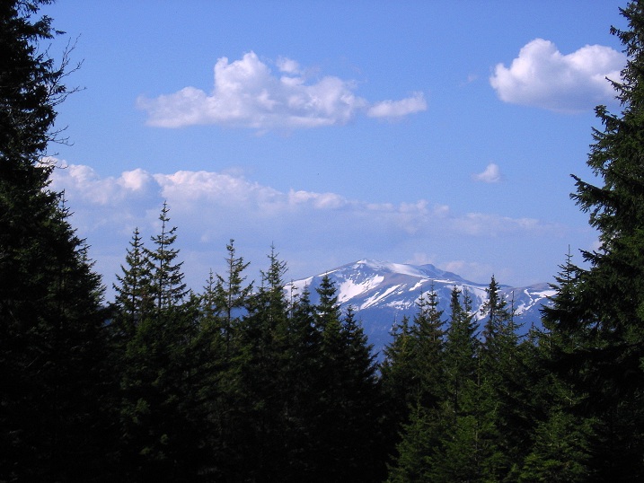 Foto: Andreas Koller / Wandertour / Über den Wechsel (1743m) / 31.05.2012 22:37:13