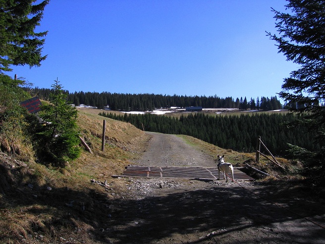Foto: Andreas Koller / Wandertour / Über den Wechsel (1743m) / 31.05.2012 22:37:06