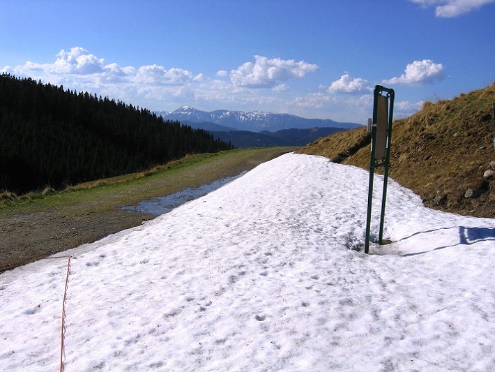 Foto: Andreas Koller / Wandertour / Über den Wechsel (1743m) / 31.05.2012 22:36:43