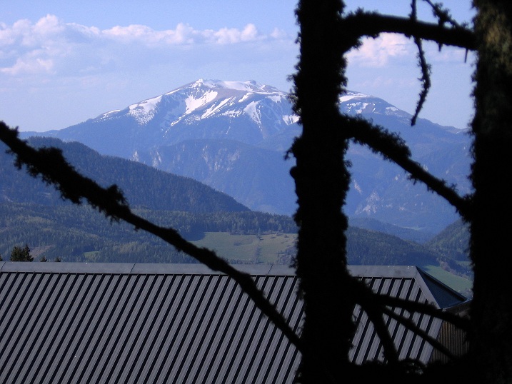 Foto: Andreas Koller / Wandertour / Über den Wechsel (1743m) / 31.05.2012 22:36:21