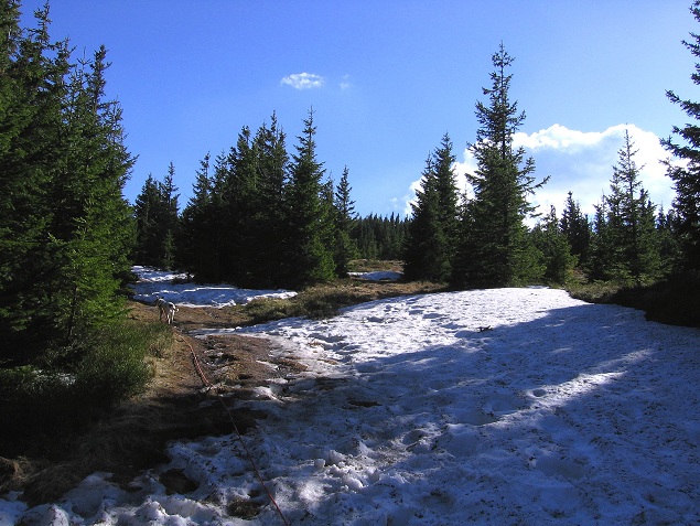 Foto: Andreas Koller / Wandertour / Über den Wechsel (1743m) / 31.05.2012 22:35:40