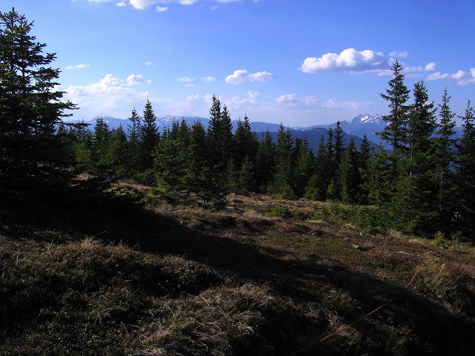 Foto: Andreas Koller / Wandertour / Über den Wechsel (1743m) / 31.05.2012 22:35:22