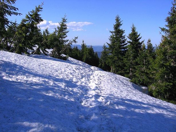 Foto: Andreas Koller / Wandertour / Über den Wechsel (1743m) / 31.05.2012 22:34:16