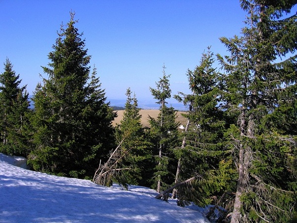 Foto: Andreas Koller / Wandertour / Über den Wechsel (1743m) / 31.05.2012 22:34:05