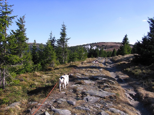 Foto: Andreas Koller / Wandertour / Über den Wechsel (1743m) / 31.05.2012 22:33:34