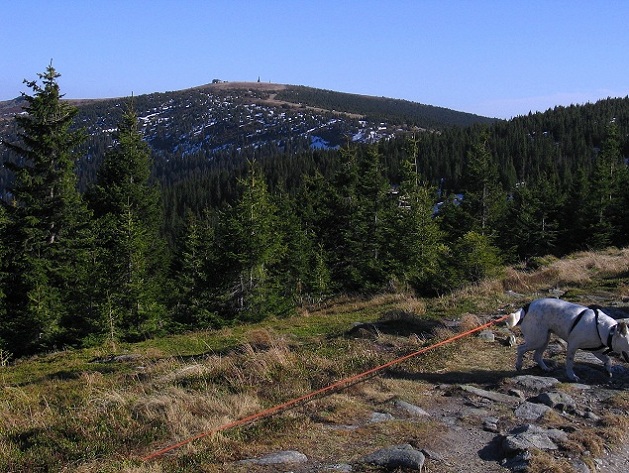 Foto: Andreas Koller / Wandertour / Über den Wechsel (1743m) / 31.05.2012 22:33:19