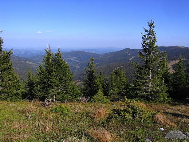 Foto: Andreas Koller / Wandertour / Über den Wechsel (1743m) / 31.05.2012 22:33:10