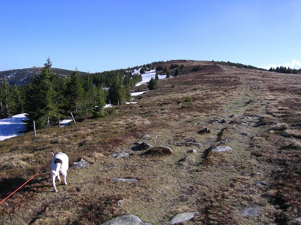 Foto: Andreas Koller / Wandertour / Über den Wechsel (1743m) / 31.05.2012 22:32:54