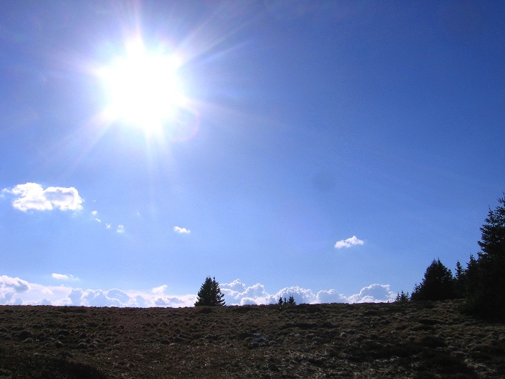 Foto: Andreas Koller / Wandertour / Über den Wechsel (1743m) / 31.05.2012 22:32:46
