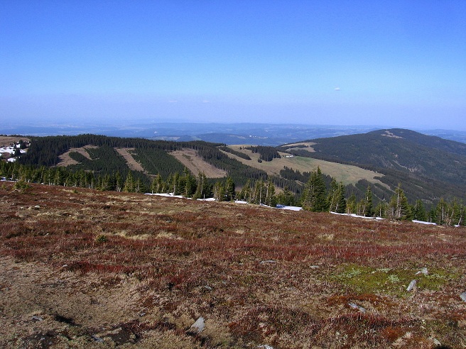Foto: Andreas Koller / Wandertour / Über den Wechsel (1743m) / 31.05.2012 22:32:29