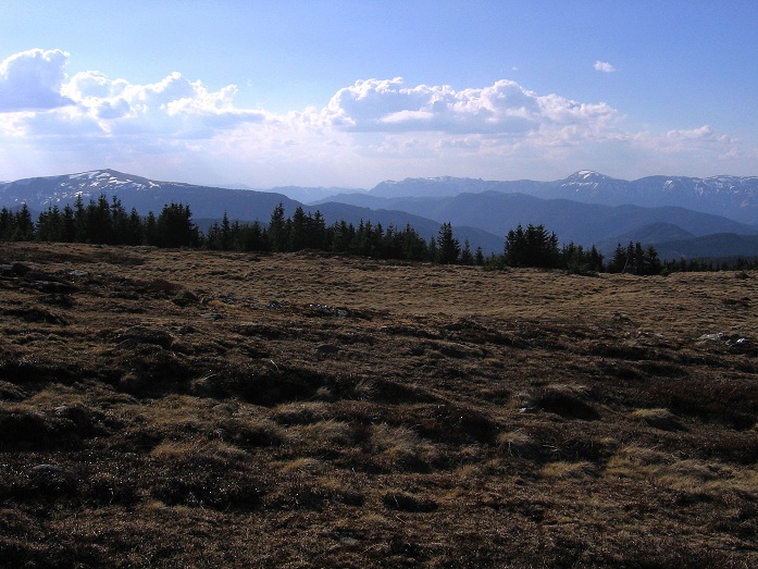 Foto: Andreas Koller / Wandertour / Über den Wechsel (1743m) / 31.05.2012 22:32:16