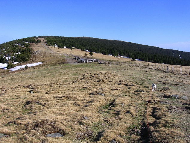 Foto: Andreas Koller / Wandertour / Über den Wechsel (1743m) / Blick zum Hochwechsel / 31.05.2012 22:31:57