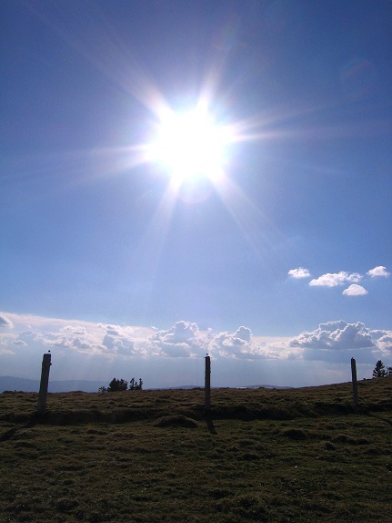 Foto: Andreas Koller / Wandertour / Über den Wechsel (1743m) / 31.05.2012 22:31:02