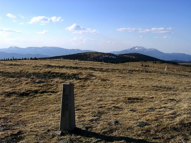 Foto: Andreas Koller / Wandertour / Über den Wechsel (1743m) / 31.05.2012 22:29:48