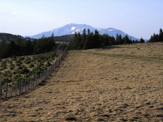 Foto: Andreas Koller / Wandertour / Über den Wechsel (1743m) / Abstieg vom Hochwechsel / 31.05.2012 22:28:20