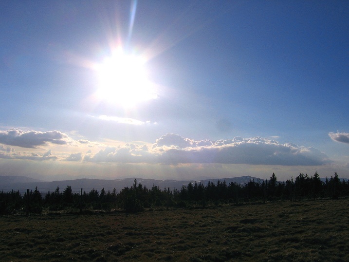 Foto: Andreas Koller / Wandertour / Über den Wechsel (1743m) / 31.05.2012 22:27:20
