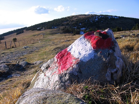 Foto: Andreas Koller / Wandertour / Über den Wechsel (1743m) / 31.05.2012 22:27:01