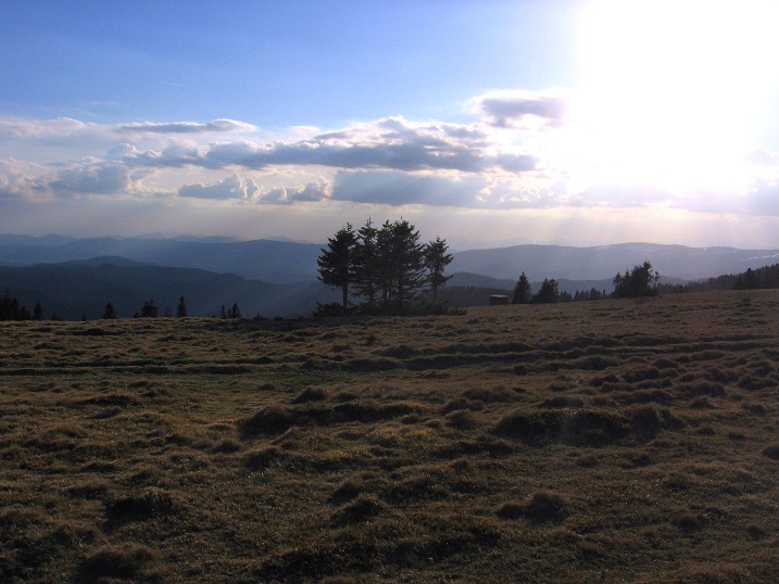 Foto: Andreas Koller / Wandertour / Über den Wechsel (1743m) / 31.05.2012 22:26:52