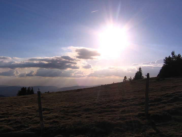 Foto: Andreas Koller / Wandertour / Über den Wechsel (1743m) / 31.05.2012 22:26:44