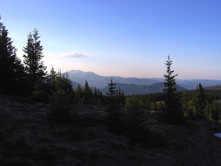 Foto: Andreas Koller / Wandertour / Über den Wechsel (1743m) / 31.05.2012 22:26:16
