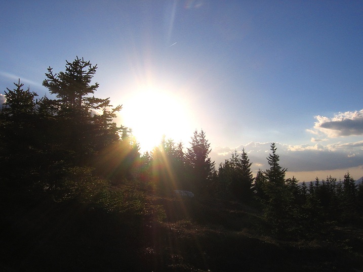 Foto: Andreas Koller / Wandertour / Über den Wechsel (1743m) / 31.05.2012 22:25:50