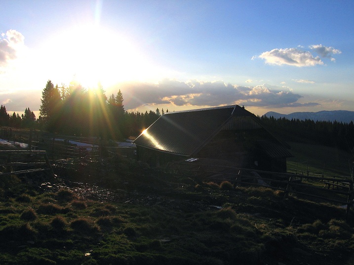 Foto: Andreas Koller / Wandertour / Über den Wechsel (1743m) / Zurück bei der Kranichberger Schwaig / 31.05.2012 22:25:42